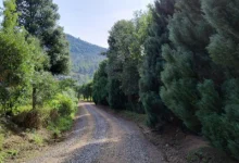 Photo of Lançada a Rota das Nuvens: novo roteiro turístico integra Gramado, Igrejinha e Três Coroas