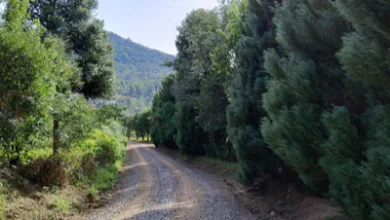 Photo of Lançada a Rota das Nuvens: novo roteiro turístico integra Gramado, Igrejinha e Três Coroas