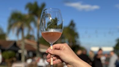 Photo of Festival Melhores Vinhos celebra enoturismo e produção local em Flores da Cunha