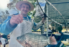 Photo of Feira do Peixe Vivo de Gramado tem sequência neste sábado