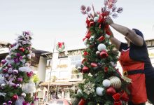 Photo of Vencedor do Tannenbaumfest será conhecido nesta quinta-feira